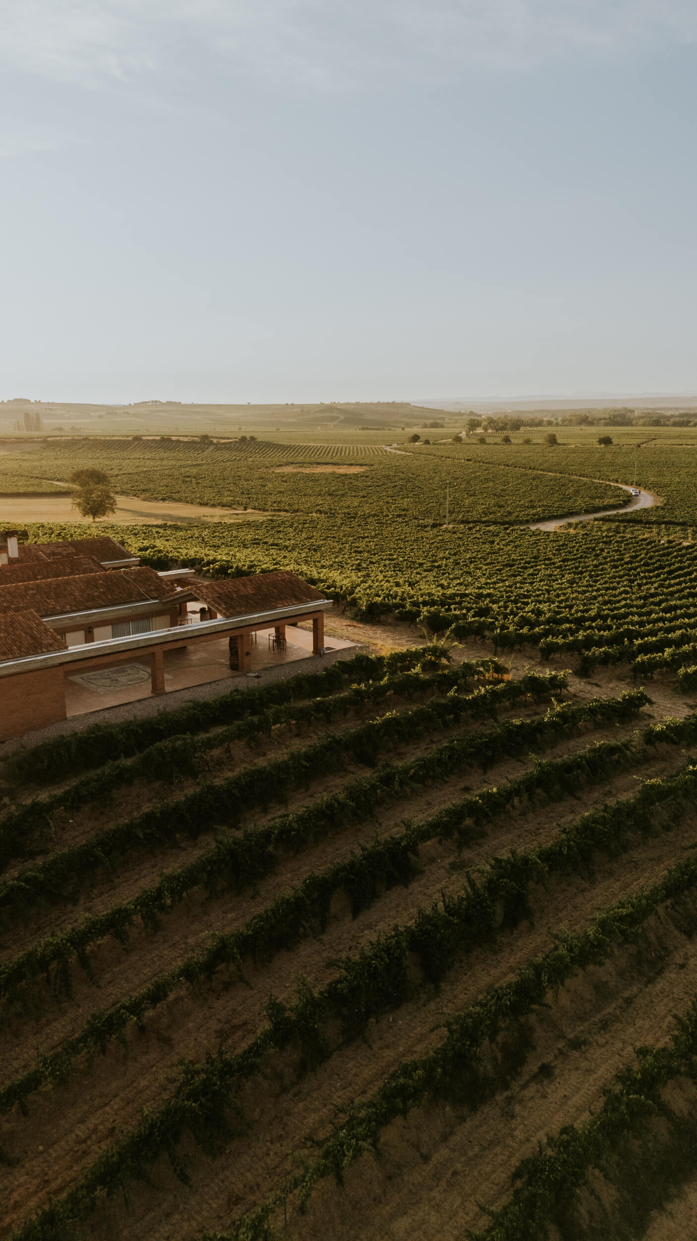 Visitar Bodegas Durón en Ribera del Duero